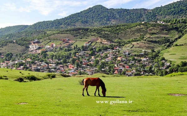 ماسال Masal