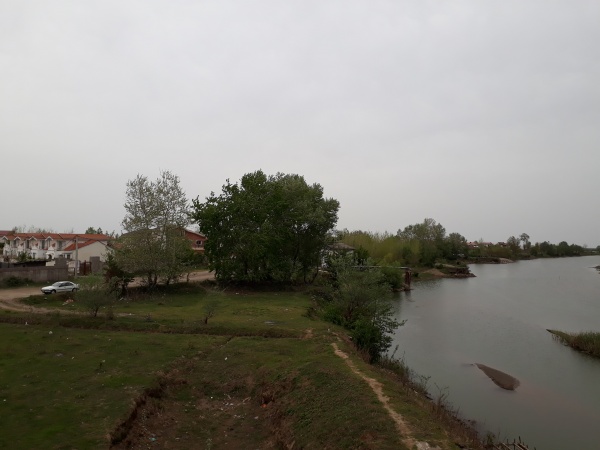 سفید رود کیاشهر